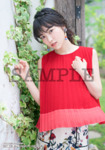 Animega Bunkyoudo 2L Bromide