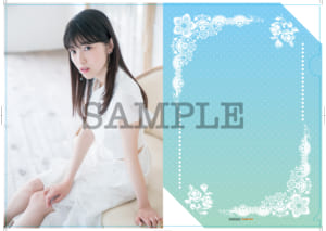 Gamers A4 Clearfile